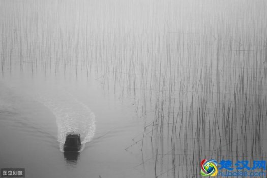  审时度势的意思（人生第一要务，审时度势）