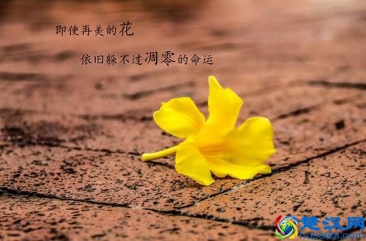  斑驳是什么意思（斑驳，也是一种人生）