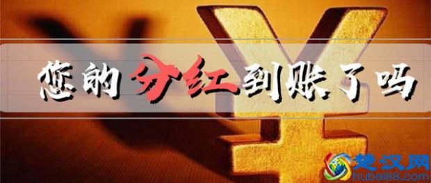  2019农业银行股票分红什么时候到账（2019年必备银行分红信息）