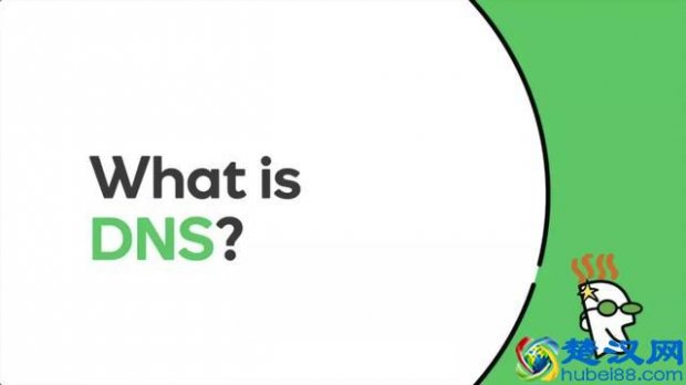  dns是什么意思（DNS是什么，修改几个数字就能提升网速）