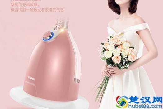  家用挂烫机什么牌子好用？推荐五款口碑最好的挂烫机