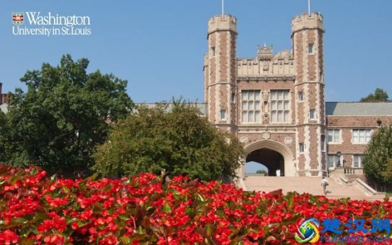  华盛顿大学圣路易斯分校怎么样（华盛顿大学圣路易斯分校简介）