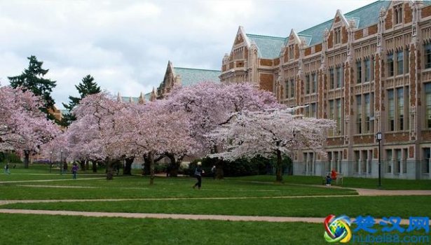  美国华盛顿大学历年排名多少（美国华盛顿大学在哪个位置）