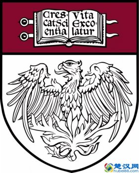  美国芝加哥大学排名第几（芝加哥大学建校历史及地理位置环境）