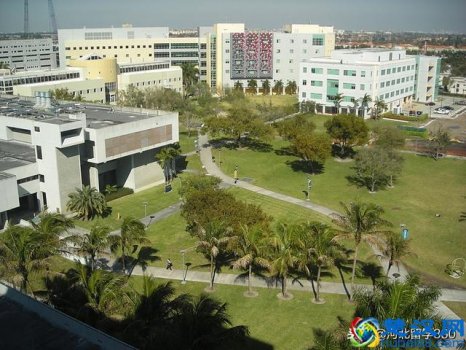  佛罗里达国际大学世界排名第几（佛罗里达国际大学申请条件）
