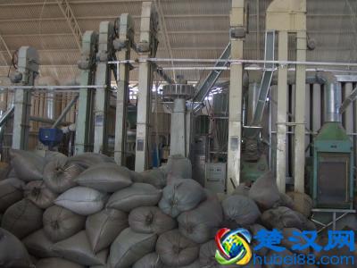  回农村开个什么厂好（农村里开什么加工厂比较适合）