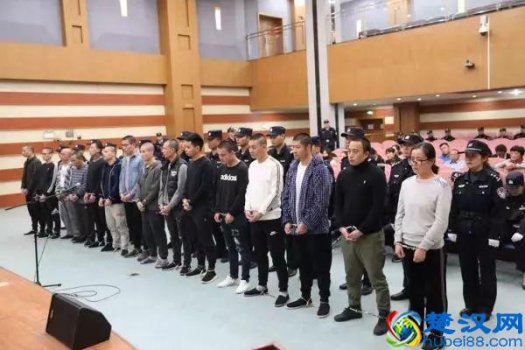  女黑老大获刑多少年（女黑老大的相关消息）