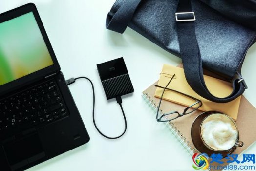 移动硬盘什么牌子好(教你怎么选购移动硬盘)