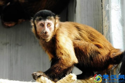 92年属什么(一年运势怎么样)