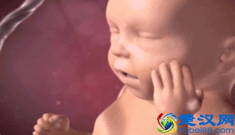  胎动是什么感觉（第一次胎动的感觉你知道吗）