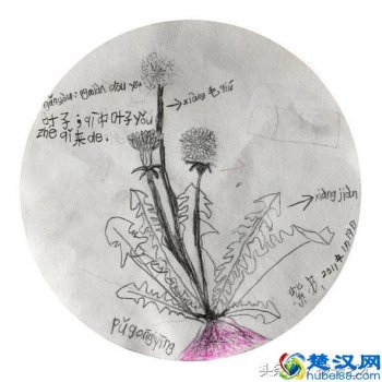  什么叫模式化？模式化教育给孩子带来了什么？