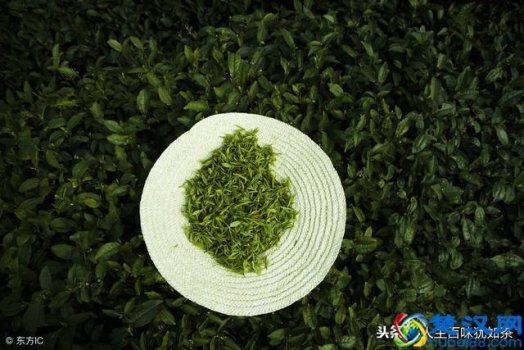  喝龙井茶有什么好处，龙井茶的功效有哪些！