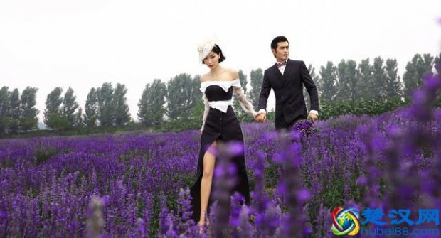 熏衣草的花语是什么?含义有哪些?