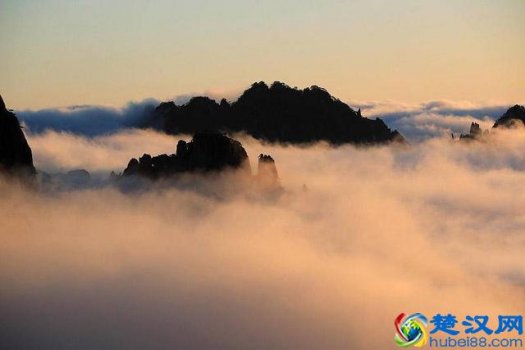  黄山四绝中尤以什么最为著名？奇松、怪石、云海、温泉各有各的特别之处