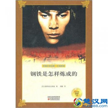  钢铁是怎么炼成的读后感，超级励志