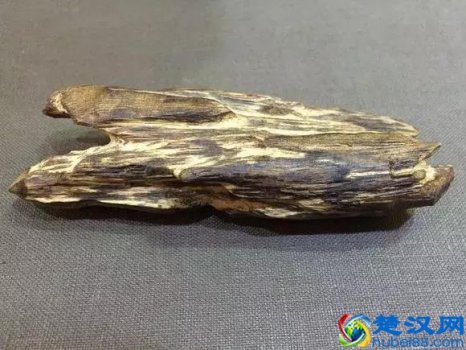  什么是沉香木，出自于哪里？