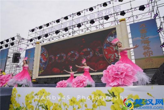  抖音油菜花是什么意思？油菜花红遍抖音