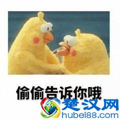  pdf怎么转换成word文档？免费教你转换的方法，太简单了