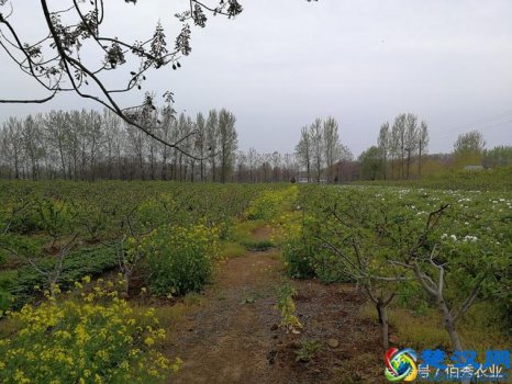  足不出户赚现金的方法（空闲时间上掘金的好项目）