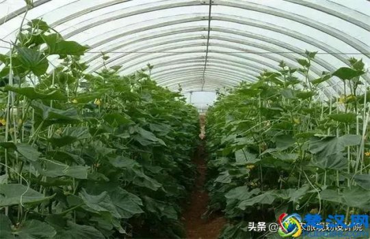  国家现在扶持什么项目（现在国家扶持什么种植项目）