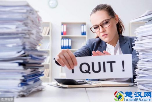  抖音上的辞呈怎么写(才华横溢的辞职信)