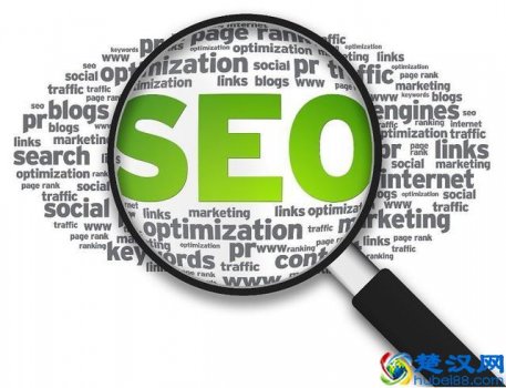  搜索引擎优化学习（哪些人需要学习搜索引擎优化？）