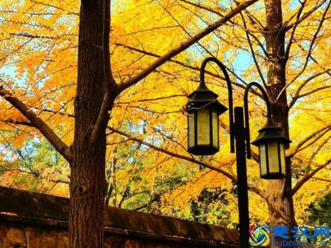  什么叫应用文（8种应用文的写作方法及注意事项）