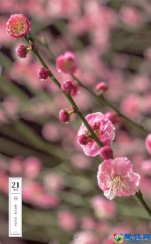  草长莺飞是什么季节（草长莺飞的节气里，我们应注意什么呢）