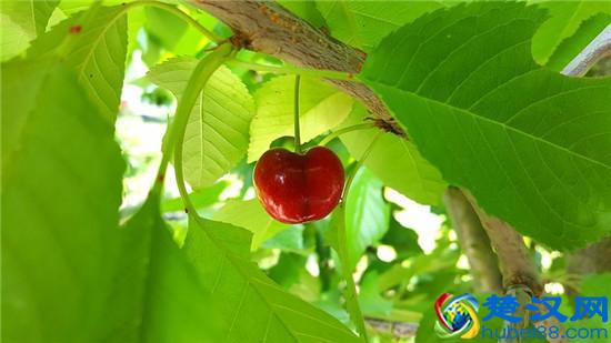  磨牙是什么原因（磨牙的三原因）