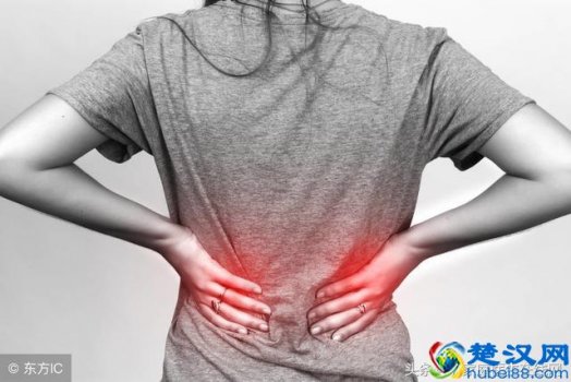  腰疼是什么原因（经常感到腰疼，或许是3个原因在作祟）