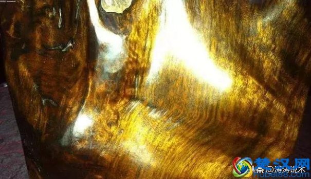  金丝楠乌木的作用与功效——植物界的活化石 ，千年遗留的精魂