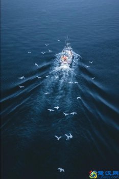  职业发展方向及规划怎么写（这样写能最大化的帮助自己做出正确选择）