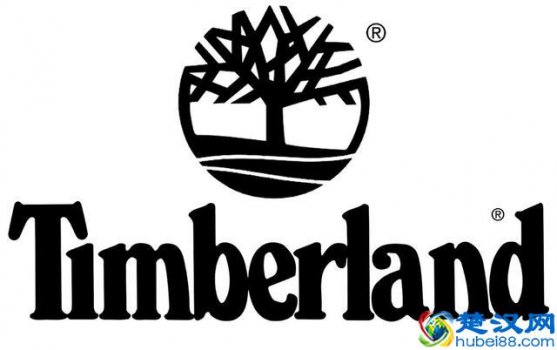  logo翻译中文是什么意思（设计logo最重要的是什么）