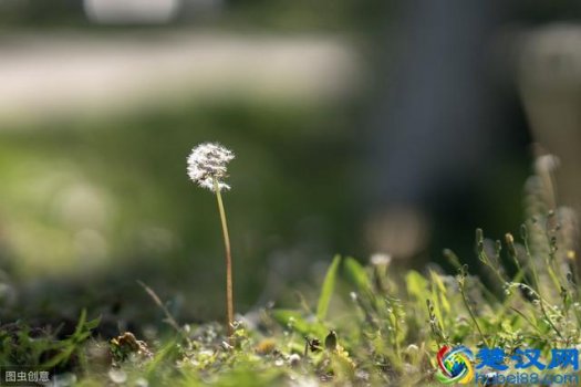  专业抑郁症测试（抑郁症官方测试题）