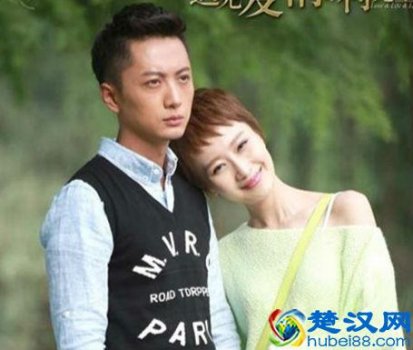  纪振宇个人资料（纪振宇主演电视剧）