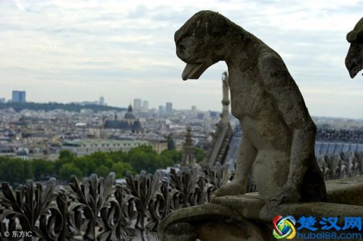  什么是人体生物钟（为什么要合理安排作息时间）