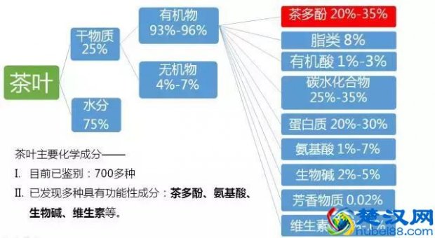  茶多酚是什么物质（茶叶中的主要化学成分介绍）