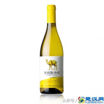  干白葡萄酒怎么喝不苦（怎么选不苦的红酒）