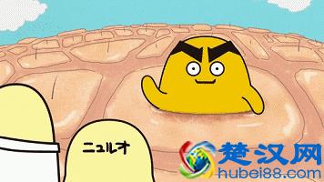  脸黑毛孔粗怎么办（冻干粉把脸毁了）