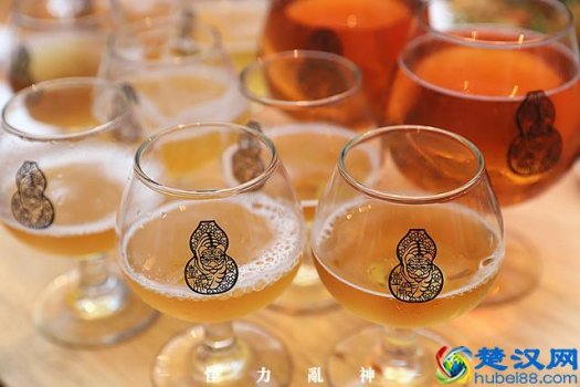 扎啤屋的啤酒是什么牌子的啤酒(扎啤和普通啤酒有何区别)