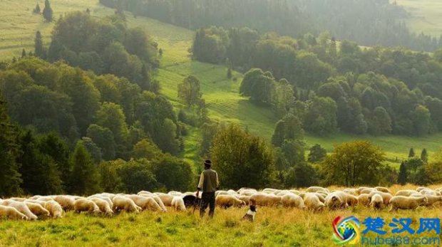 农村电商做什么项目好(三个小成本大未来的项目)