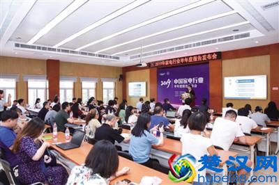  家电行业报告分析数据（19年中国家电行业排名）