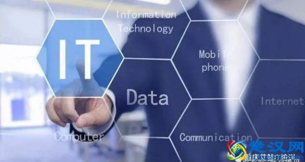  it是什么职业（it行业分析以及发展）