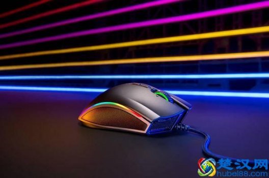  雷蛇曼巴眼镜蛇精英版性能怎么调试！