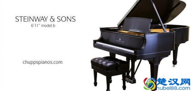  国产电钢琴什么牌子好（性价比最高的十大电钢琴推荐）