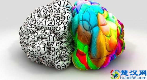  左脑控制什么中枢神经？开发右脑的十种方法