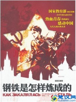  钢铁是怎样炼成的读后感，送给创业的年轻人