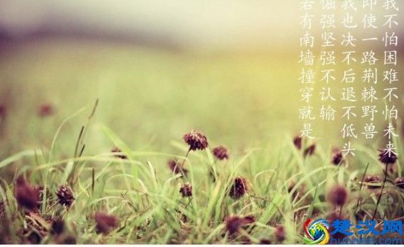  有志不在年高，无志空活百岁