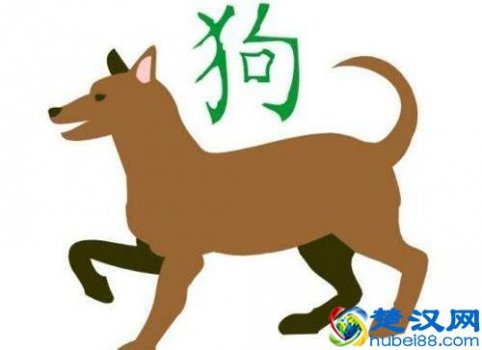  2018年是什么生肖年，属狗的运势如何？