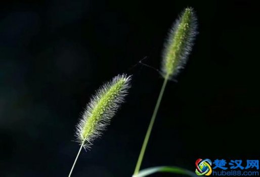  人生所有的遇见不过是萍水相逢